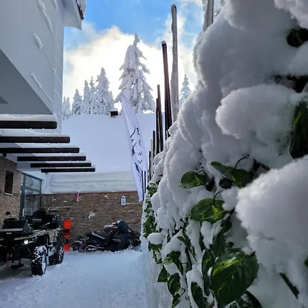 Lejlighed Massiv Centar Lux