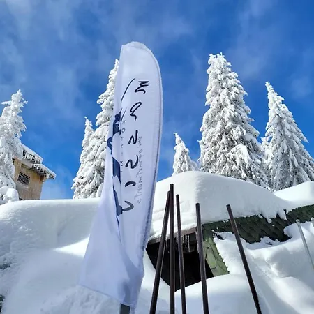 Massiv Centar Lux Kopaonik