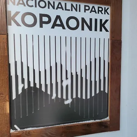 Apartment Massiv Centar Lux Kopaonik