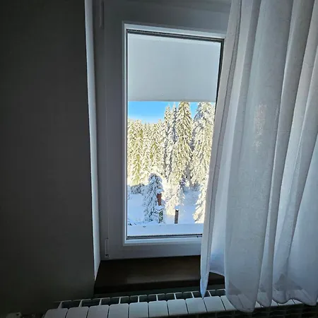 Massiv Centar Lux Lejlighed Kopaonik