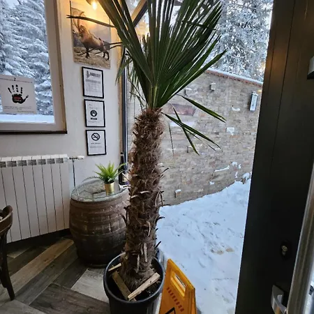 Massiv Centar Lux Kopaonik